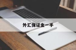 外汇保证金一手(外汇保证金一手需要多少美金)