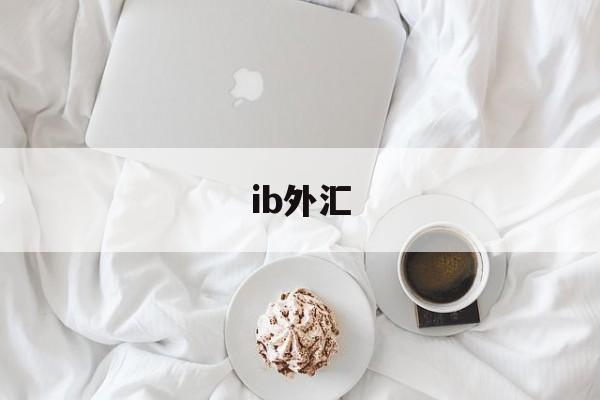 ib外汇(IB外汇经纪人)