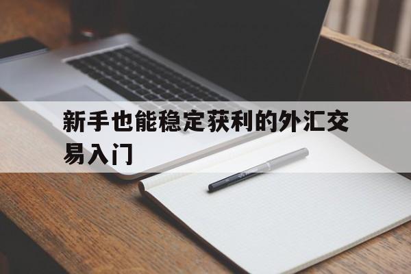 包含新手也能稳定获利的外汇交易入门的词条