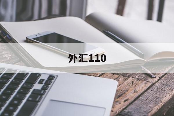 外汇110(外汇110app)