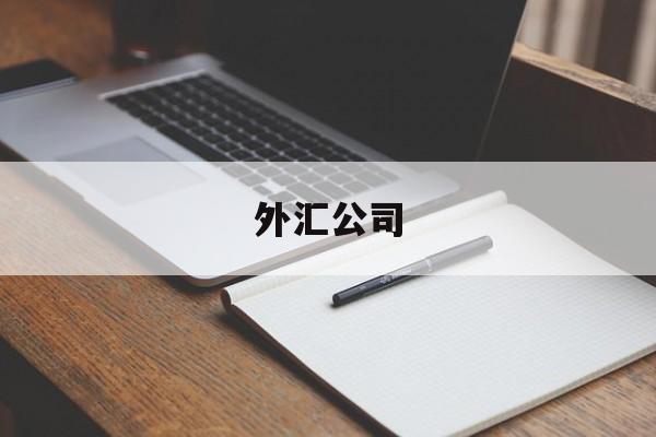 外汇公司(外汇公司风险控制)